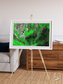 Ribbon River, Araca River Framed & Mounted Print