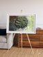 Windwritten Dunes, Brandberg Massif Framed & Mounted Print