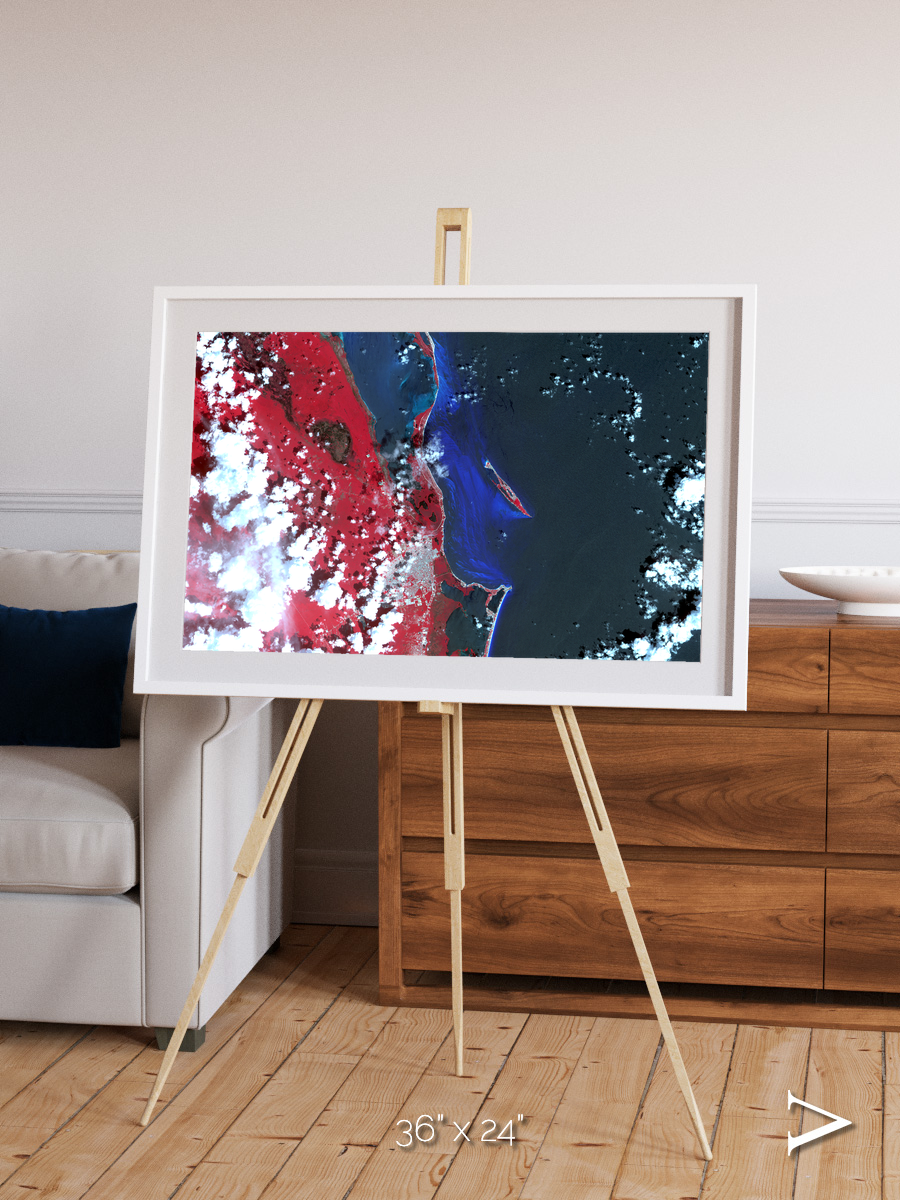 Living Edge, Cancun Framed & Mounted Print