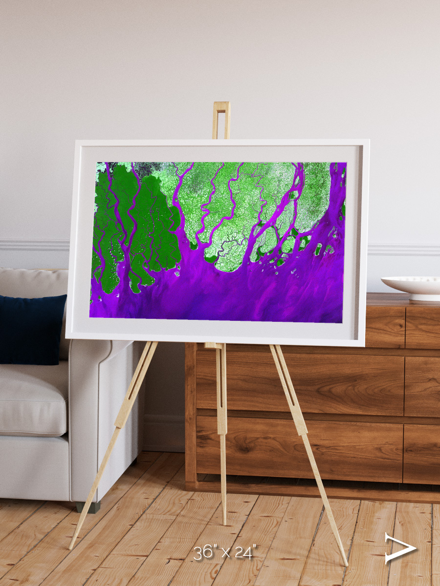 Delta Mosaic, Ganges River Delta Framed & Mounted Print