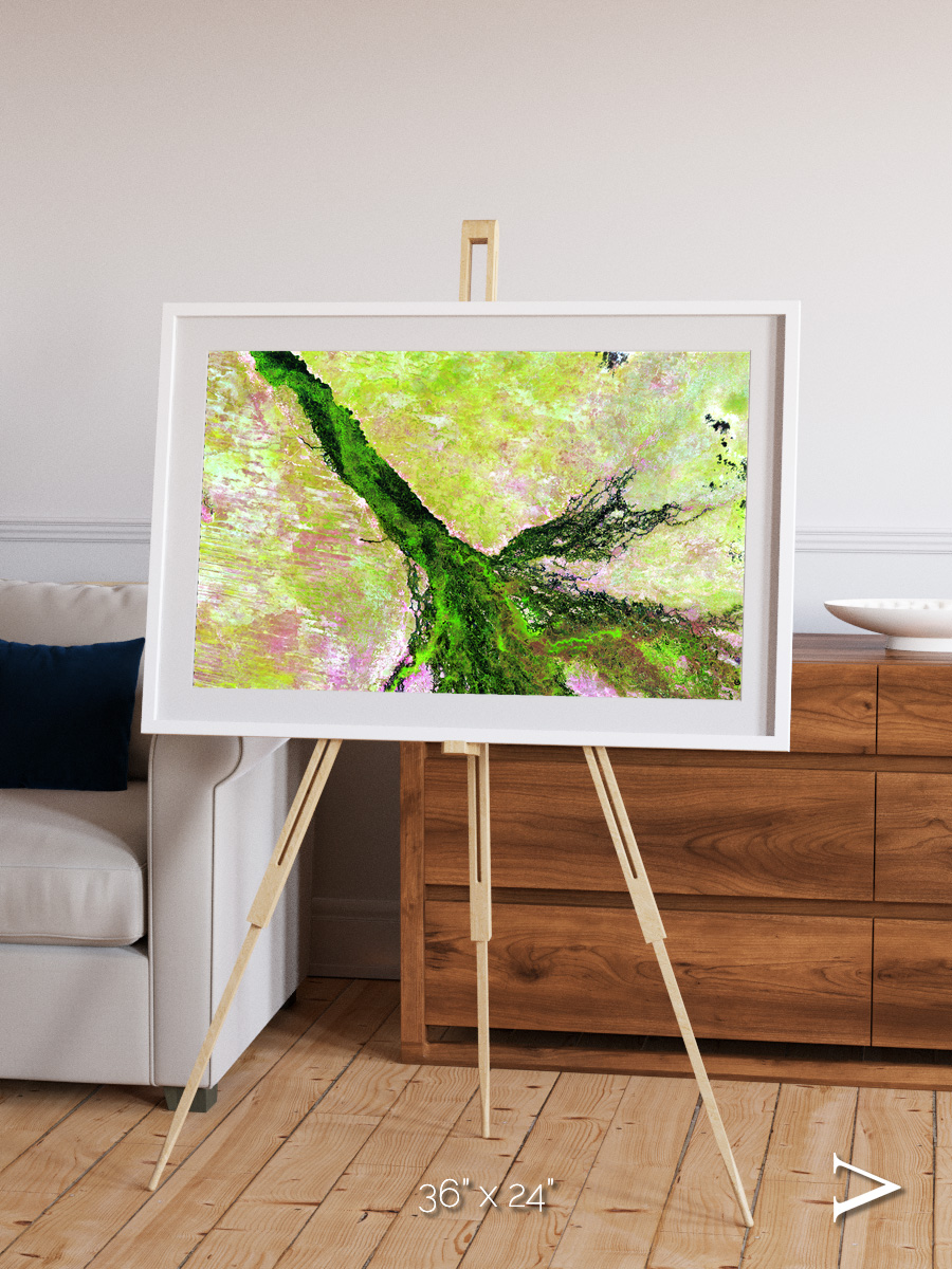 Inland Bloom, Okavango Framed & Mounted Print