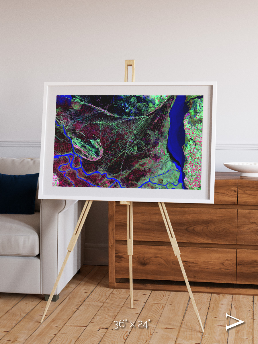 Braided Delta, Parana River Delta Framed & Mounted Print