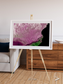 Monsoon Divide, Dhofar Framed & Mounted Print