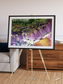 Saline Patterns, Bogda Mountains Framed & Mounted Print