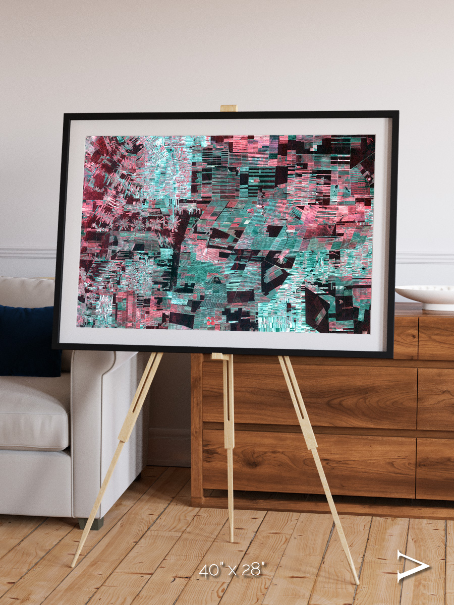 Fractured Canopy, Bolivia Framed & Mounted Print