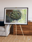 Windwritten Dunes, Brandberg Massif Framed & Mounted Print