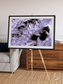 Vortices over Broutona, Kuril Islands Framed & Mounted Print
