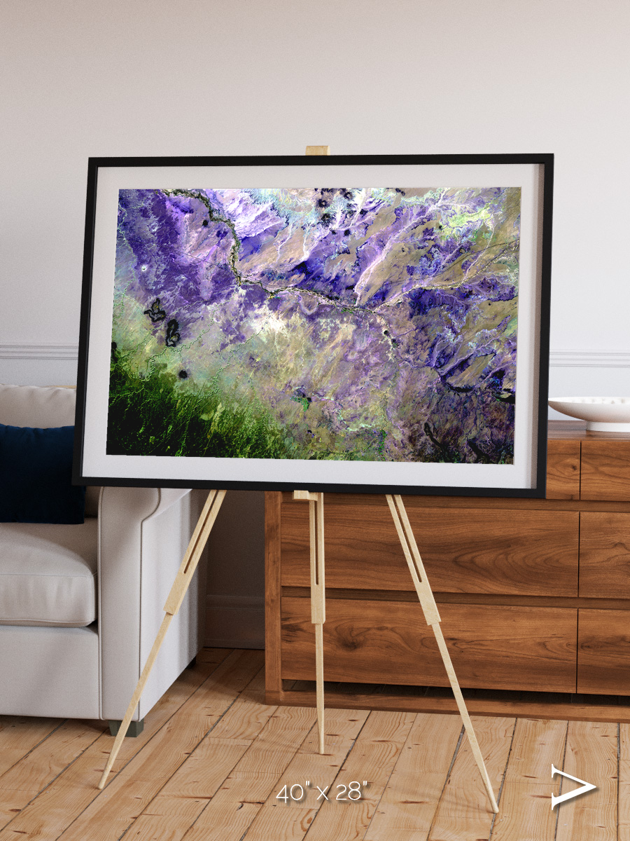 Arid Mosaic, Desert to Forest Framed & Mounted Print