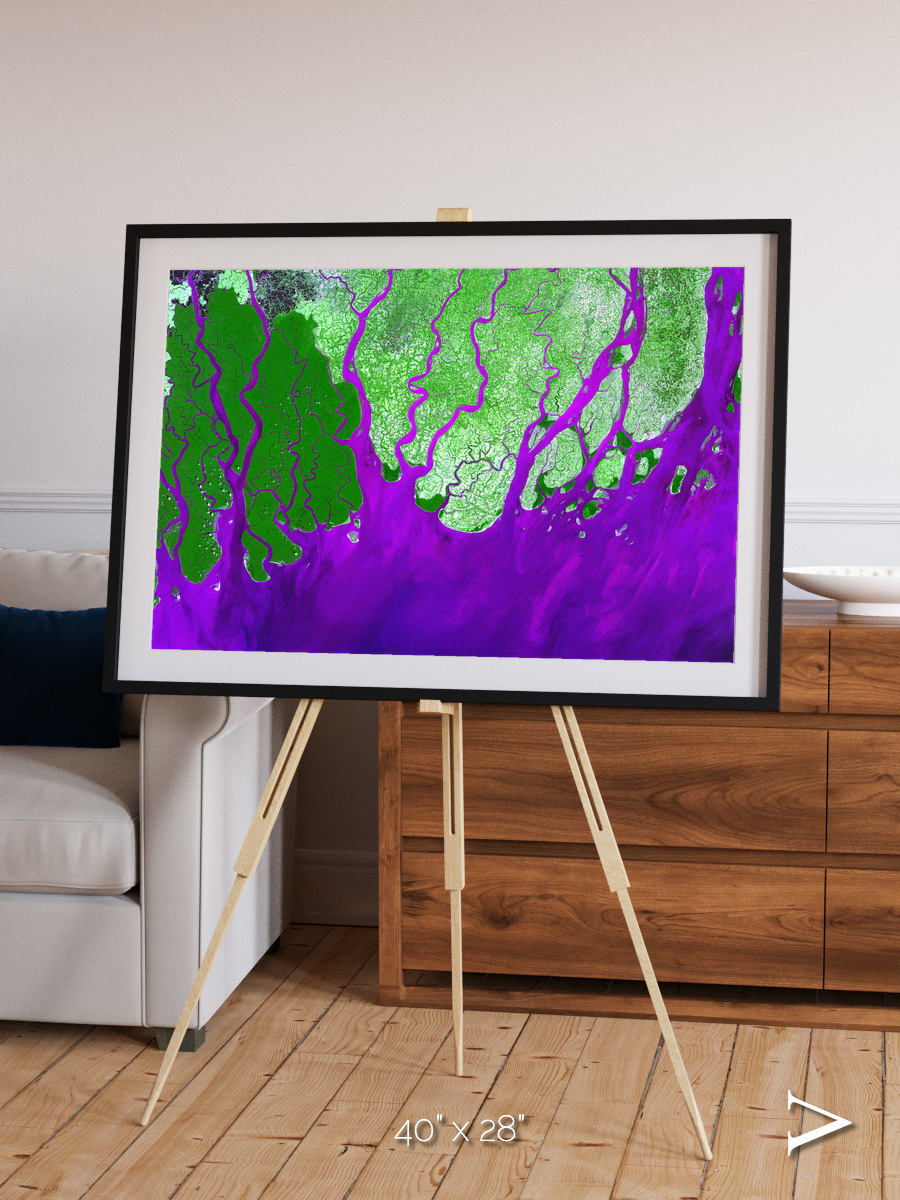 Delta Mosaic, Ganges River Delta Framed & Mounted Print