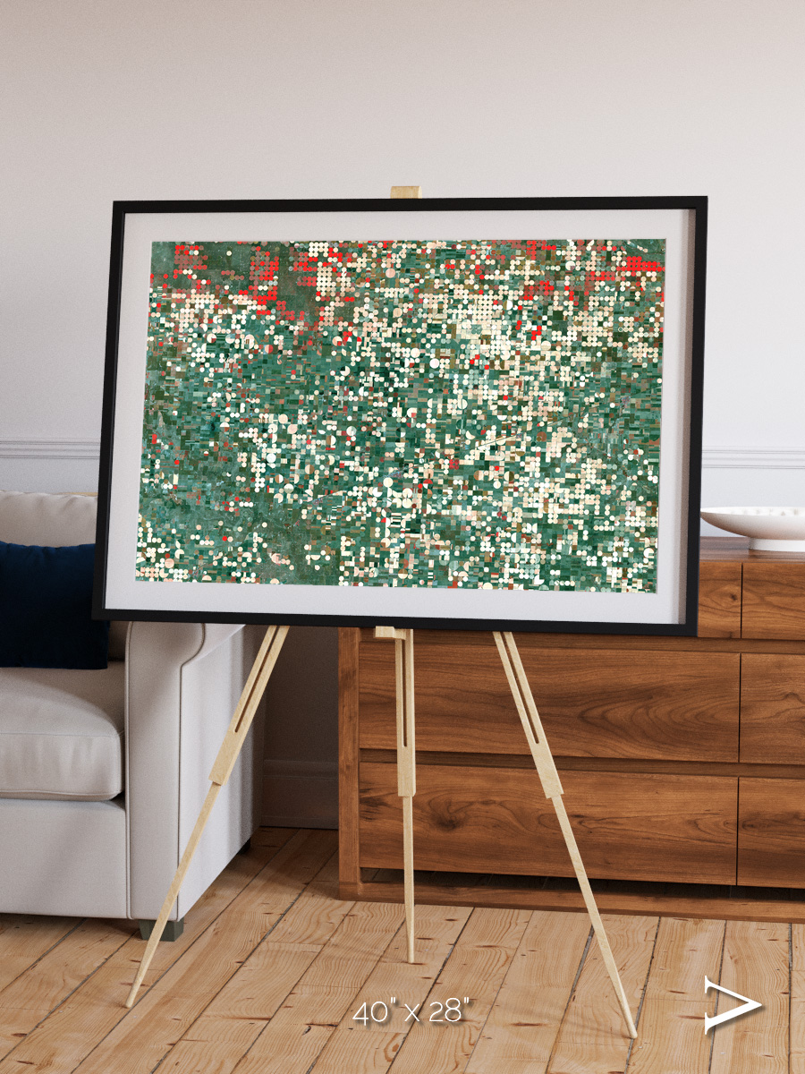 Patterns of Growth, Garden City Framed & Mounted Print