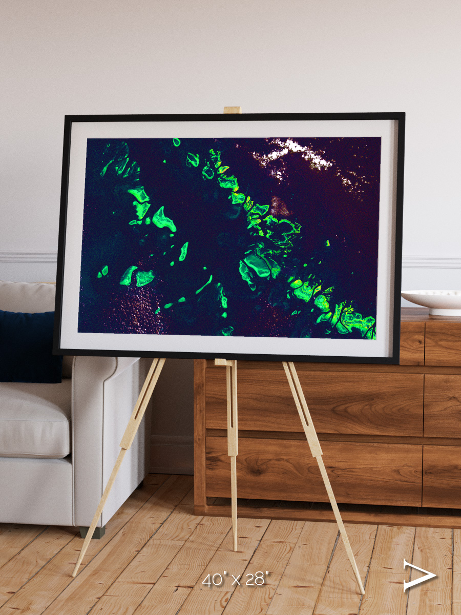 Patterned Ground, Great Barrier Reef Framed & Mounted Print