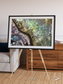 Floodplain Lines, Iraqi Emplacement Framed & Mounted Print