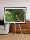 Vortex Trails, Mount Elgon Framed & Mounted Print