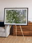 Earth in Colour, Namaqualand Framed & Mounted Print