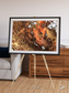 Sunlit Dunes, North America Framed & Mounted Print