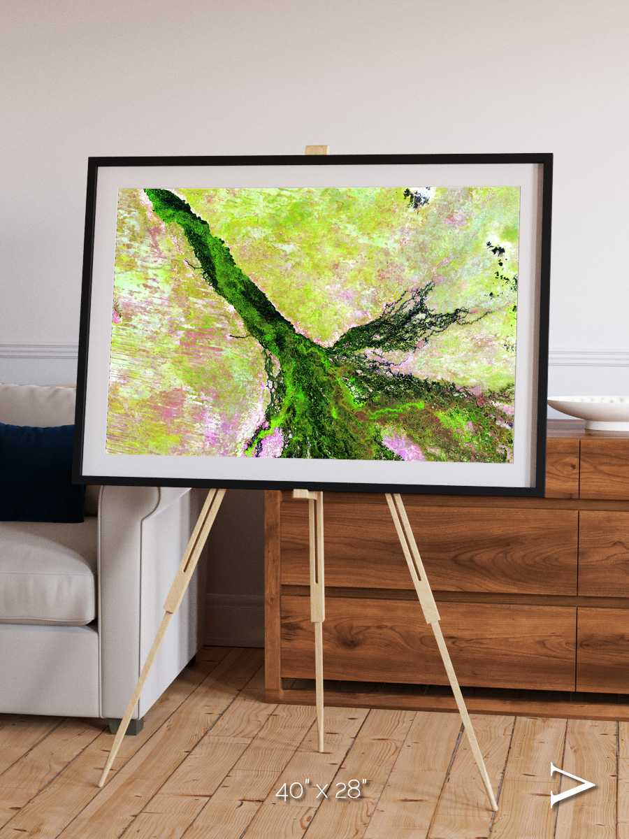 Inland Bloom, Okavango Framed & Mounted Print