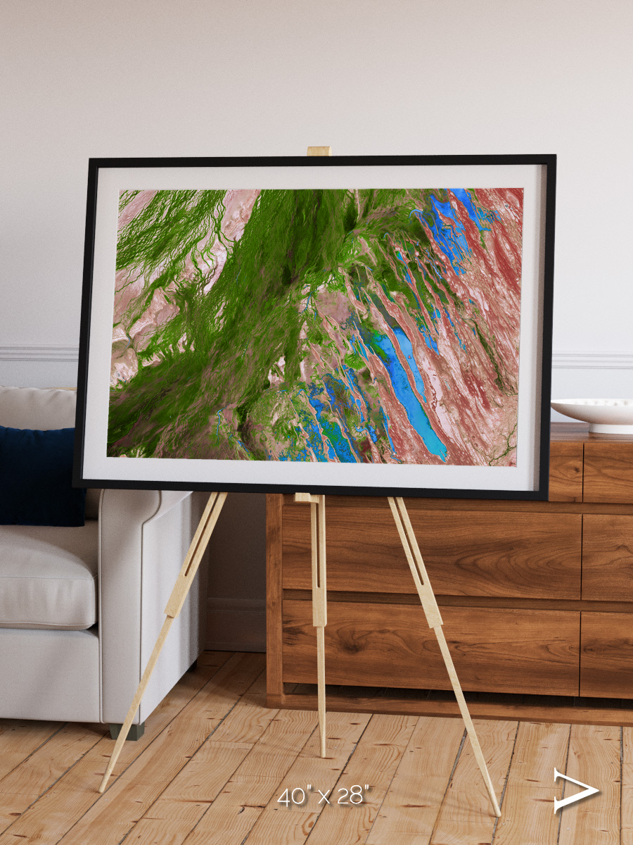 Desert Bloom, Lake Eyre Basin Framed & Mounted Print