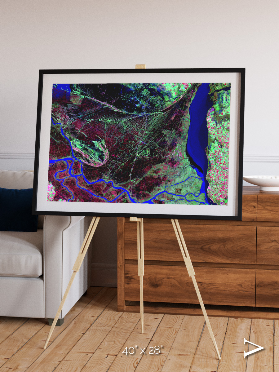 Braided Delta, Parana River Delta Framed & Mounted Print