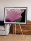 Monsoon Divide, Dhofar Framed & Mounted Print
