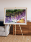 Saline Patterns, Bogda Mountains Framed & Mounted Print