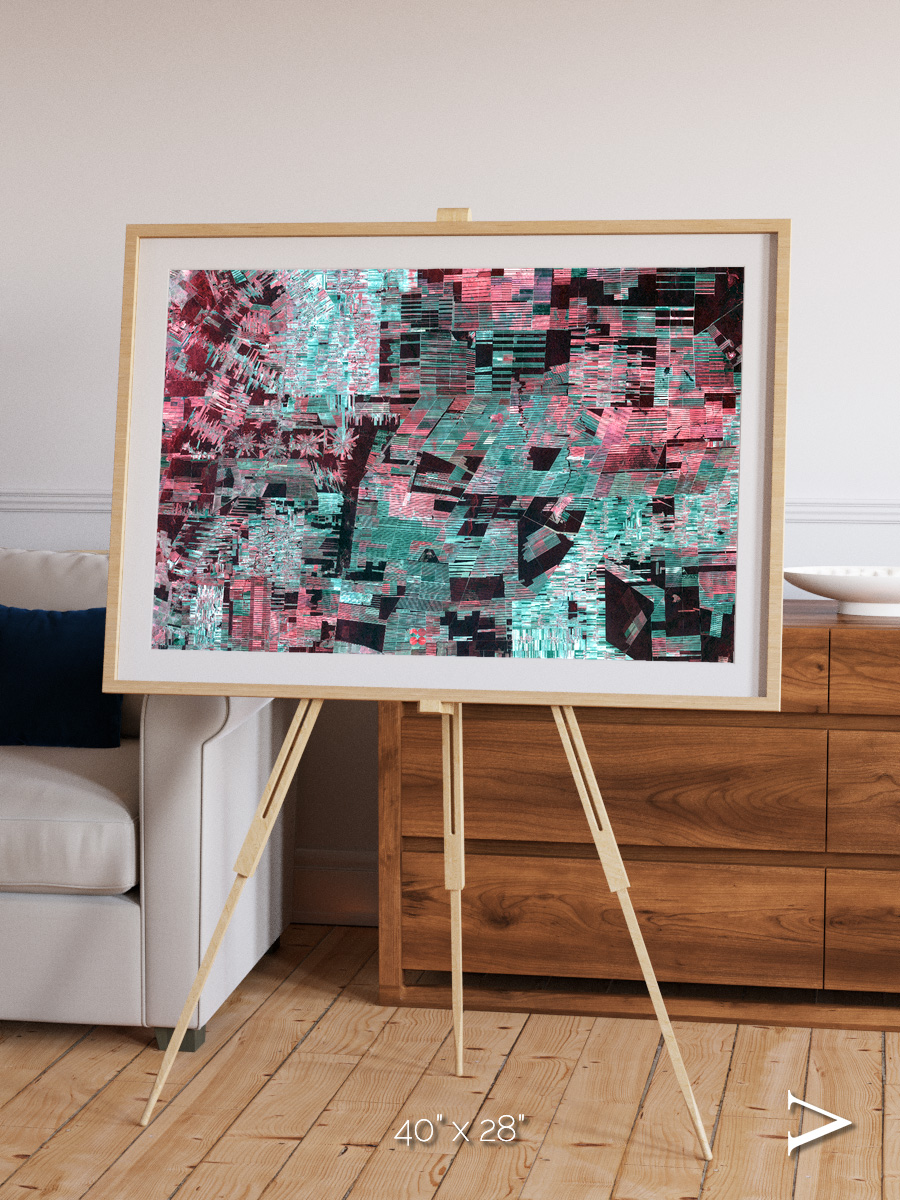Fractured Canopy, Bolivia Framed & Mounted Print