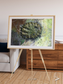 Windwritten Dunes, Brandberg Massif Framed & Mounted Print