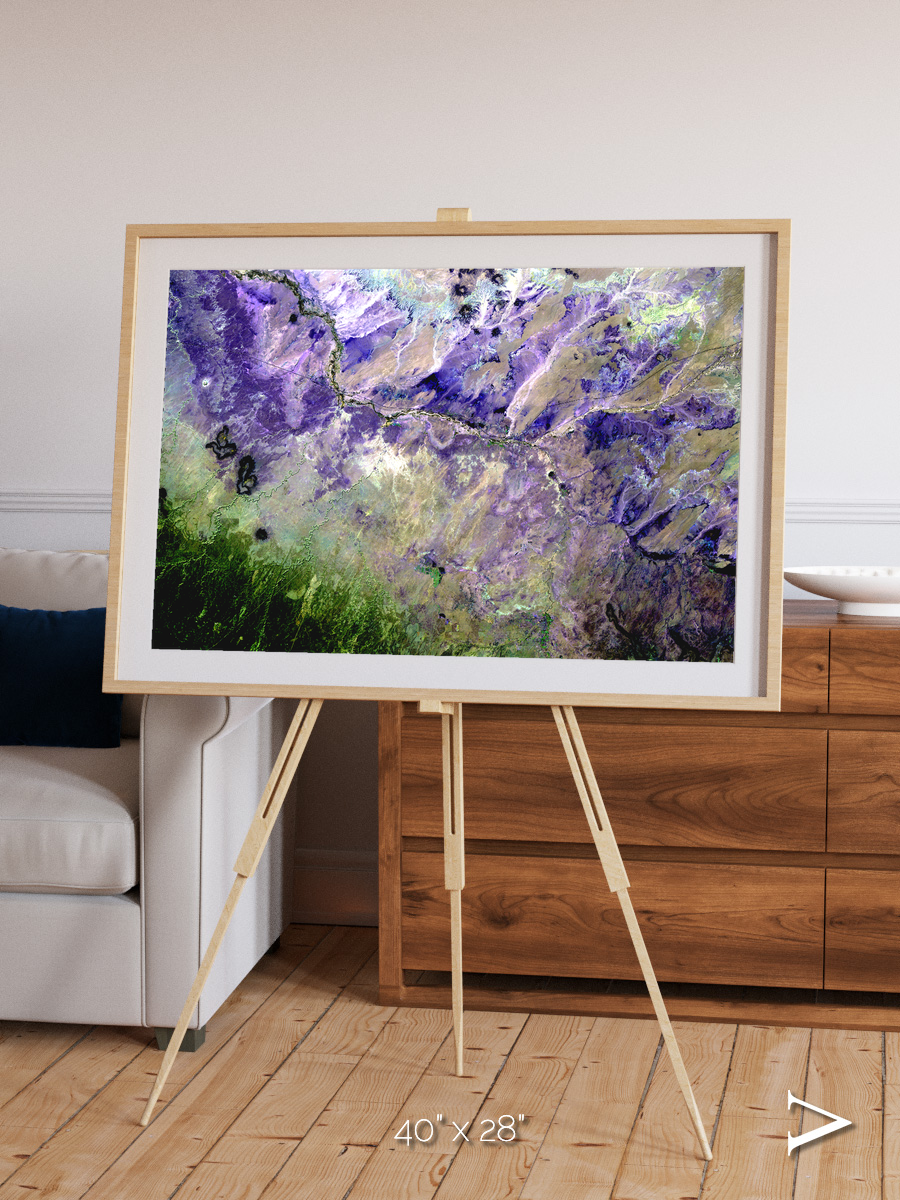 Arid Mosaic, Desert to Forest Framed & Mounted Print