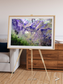 Arid Mosaic, Desert to Forest Framed & Mounted Print