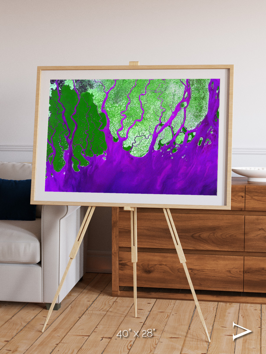 Delta Mosaic, Ganges River Delta Framed & Mounted Print