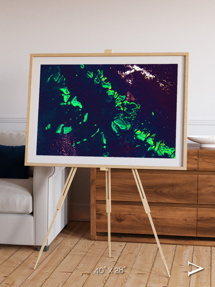 Patterned Ground, Great Barrier Reef Framed & Mounted Print