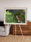 Vortex Trails, Mount Elgon Framed & Mounted Print