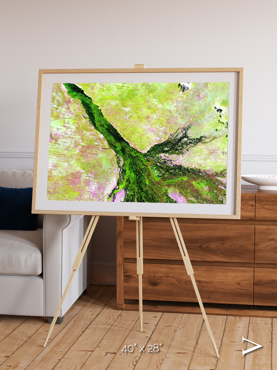 Inland Bloom, Okavango Framed & Mounted Print