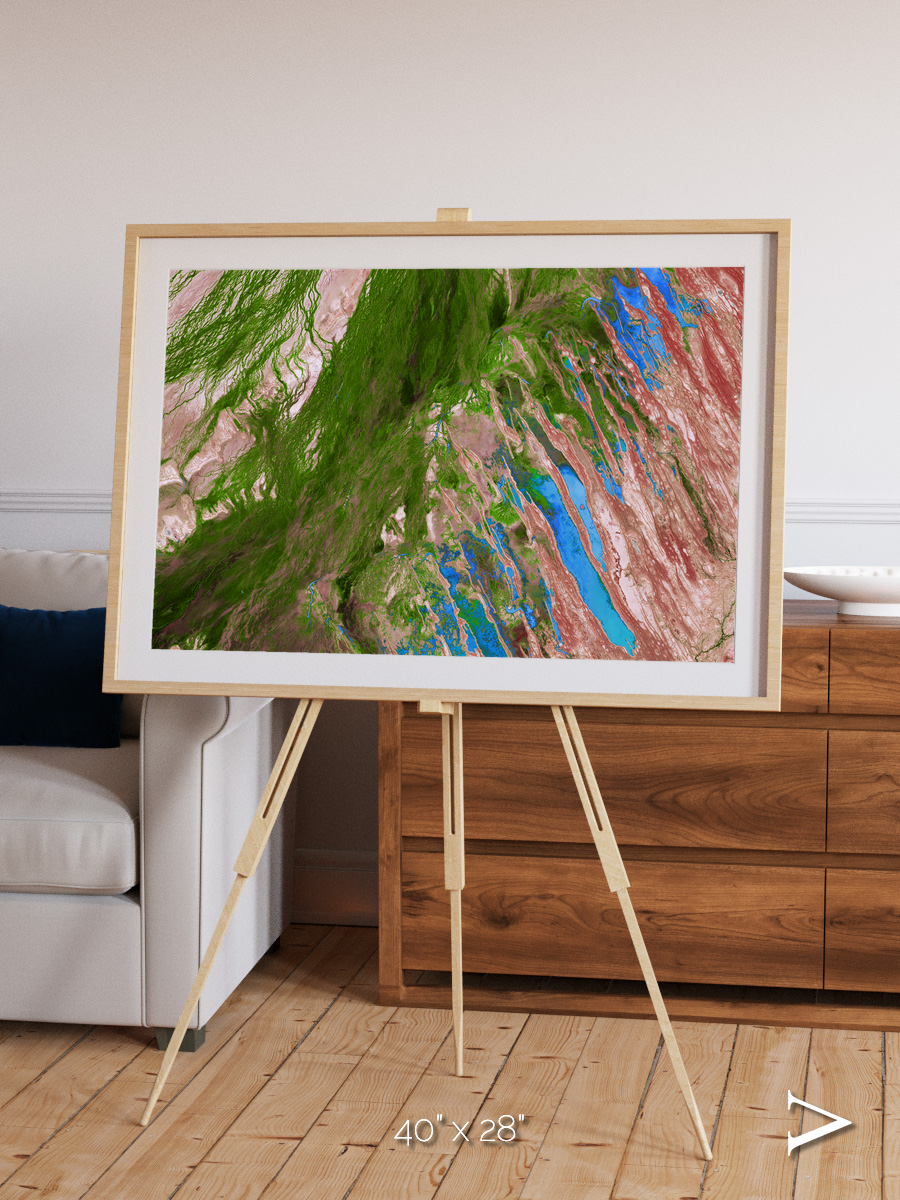 Desert Bloom, Lake Eyre Basin Framed & Mounted Print