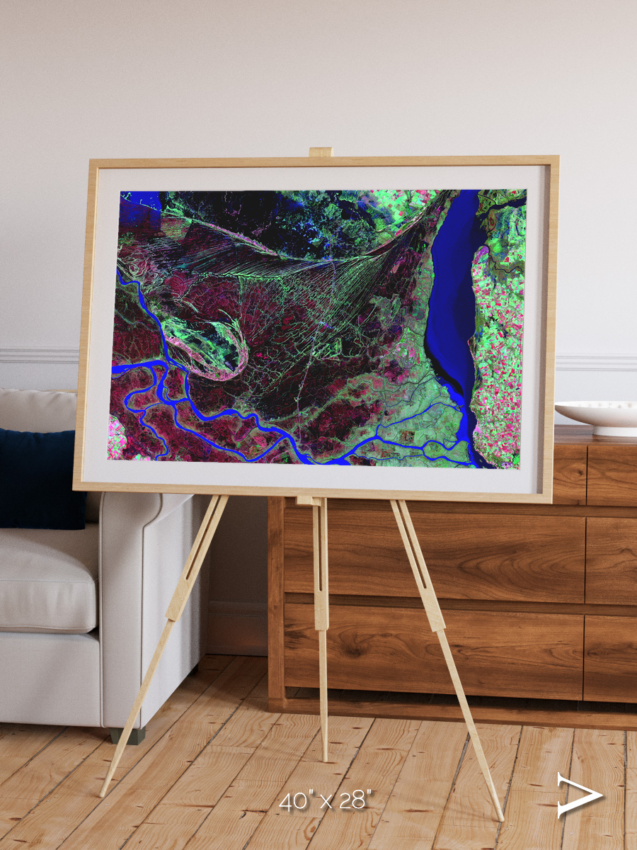 Braided Delta, Parana River Delta Framed & Mounted Print