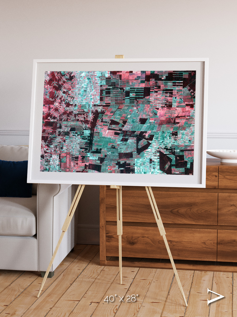 Fractured Canopy, Bolivia Framed & Mounted Print