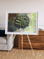 Windwritten Dunes, Brandberg Massif Framed & Mounted Print