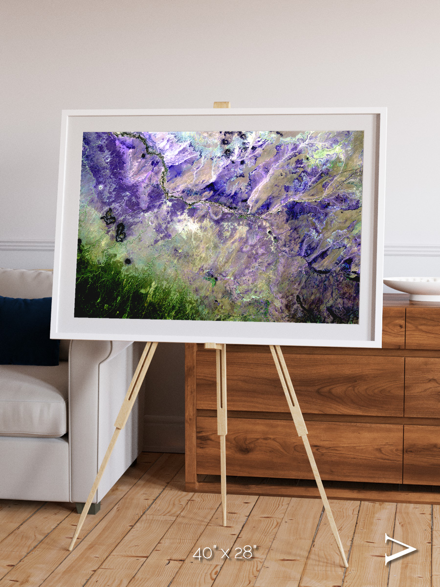 Arid Mosaic, Desert to Forest Framed & Mounted Print