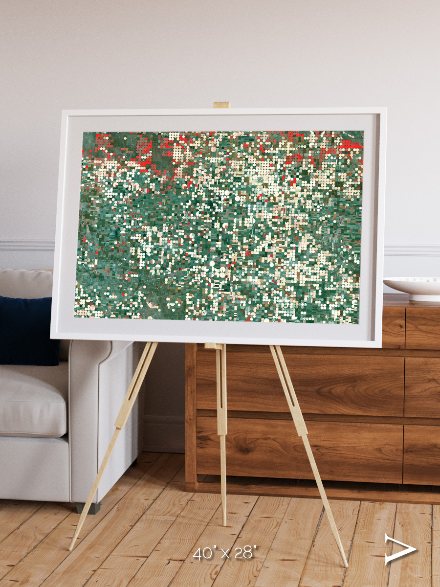 Patterns of Growth, Garden City Framed & Mounted Print