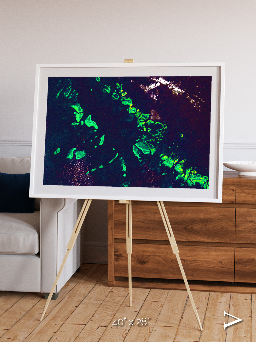 Patterned Ground, Great Barrier Reef Framed & Mounted Print