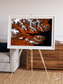 Striped Coast, Eyjafjörður Framed & Mounted Print