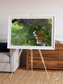 Vortex Trails, Mount Elgon Framed & Mounted Print