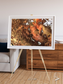 Sunlit Dunes, North America Framed & Mounted Print