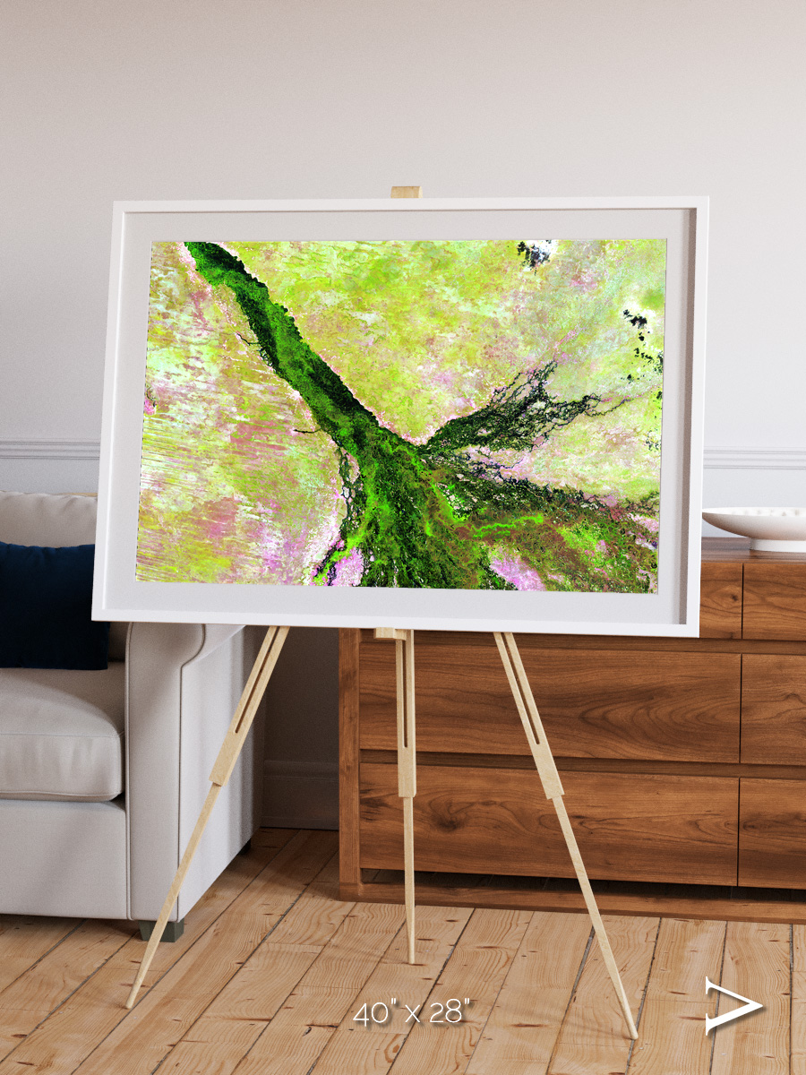 Inland Bloom, Okavango Framed & Mounted Print