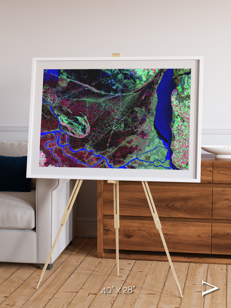 Braided Delta, Parana River Delta Framed & Mounted Print