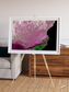 Monsoon Divide, Dhofar Framed & Mounted Print