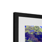 Lake Lines, Lake Amadeus Framed & Mounted Print