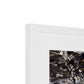 Dragon Lake, Siberia Framed & Mounted Print