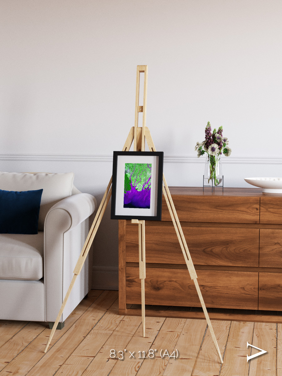 Delta Mosaic, Ganges River Delta Framed & Mounted Print