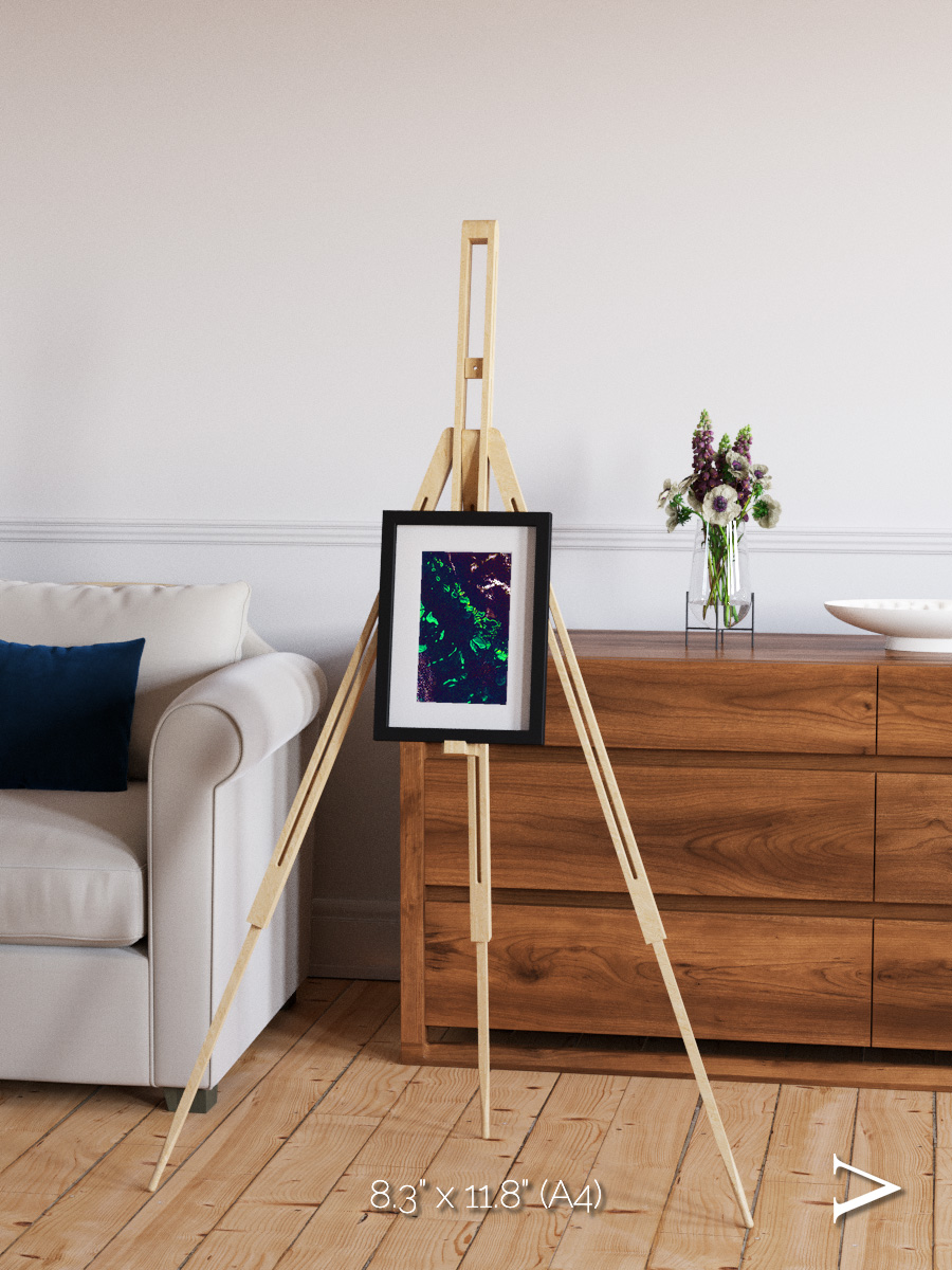 Patterned Ground, Great Barrier Reef Framed & Mounted Print