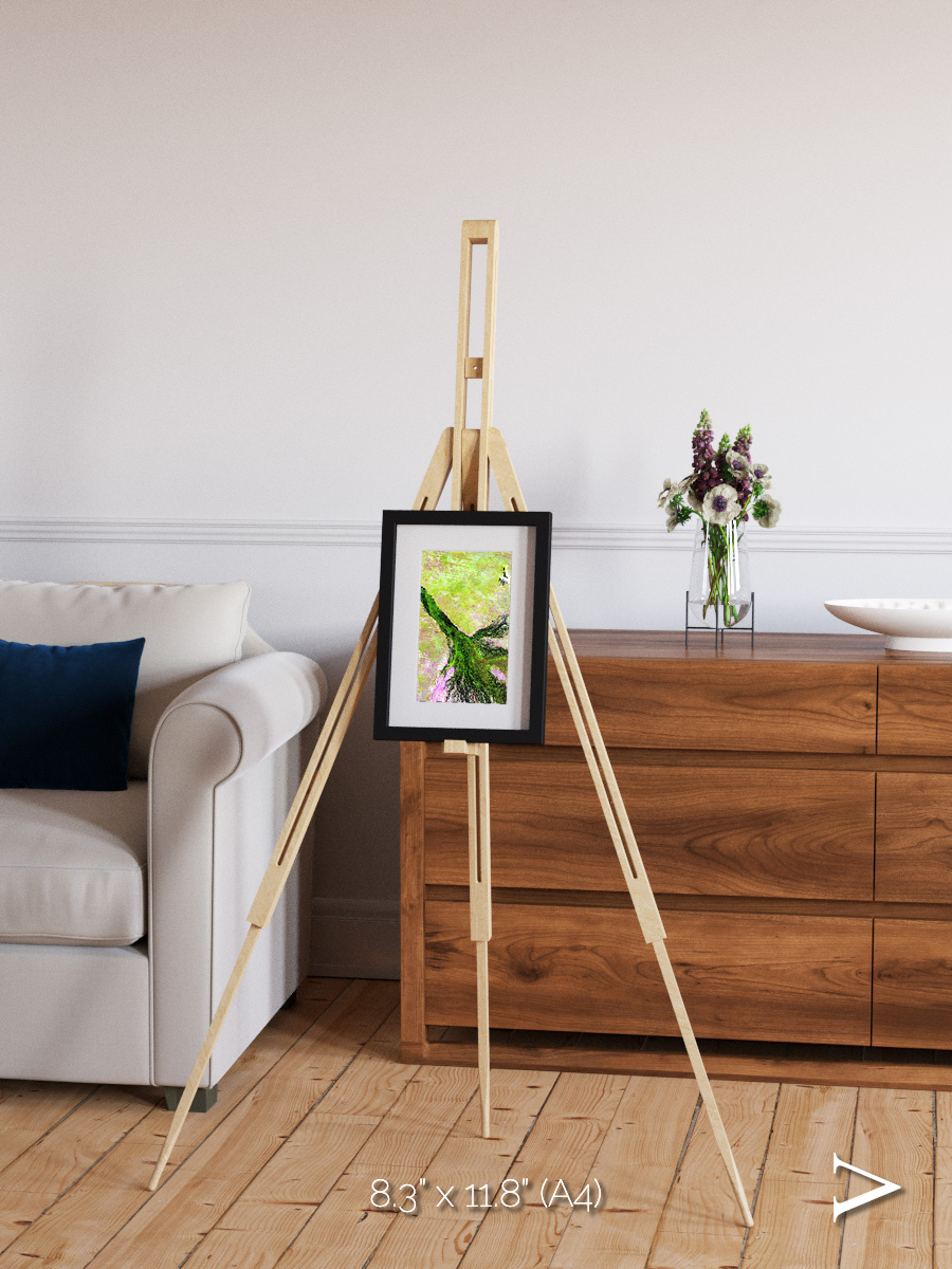 Inland Bloom, Okavango Framed & Mounted Print